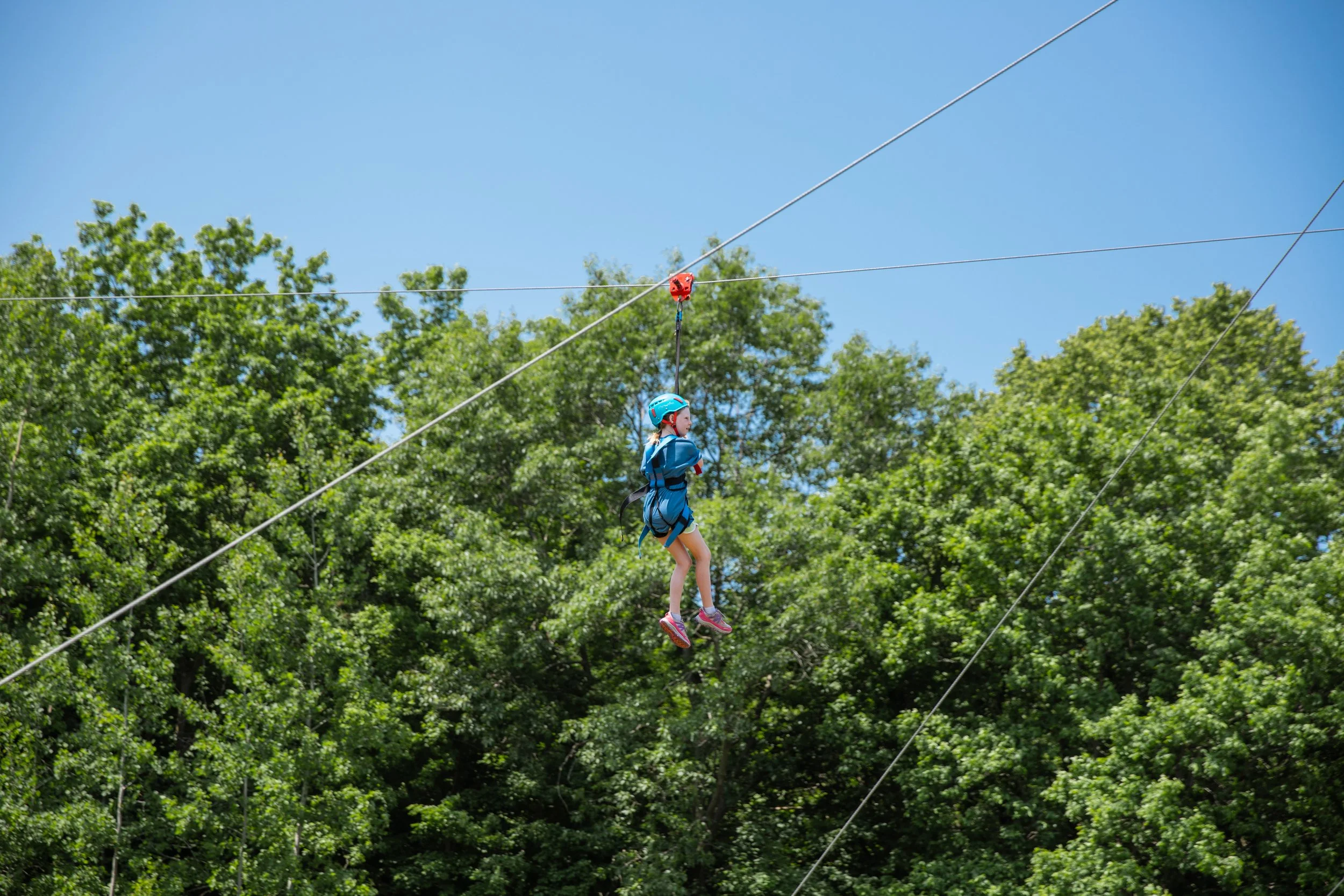 Elementary 1-220.jpg