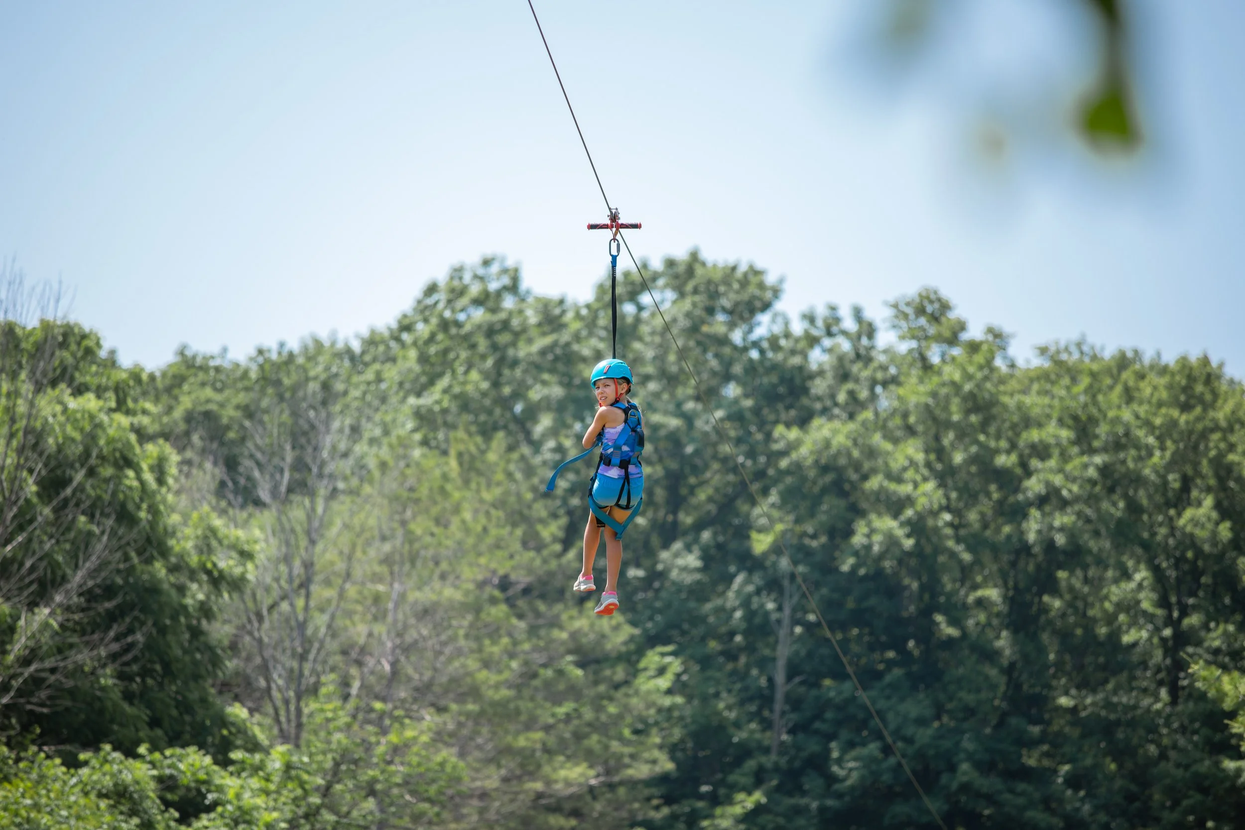 Elementary 1-217.jpg