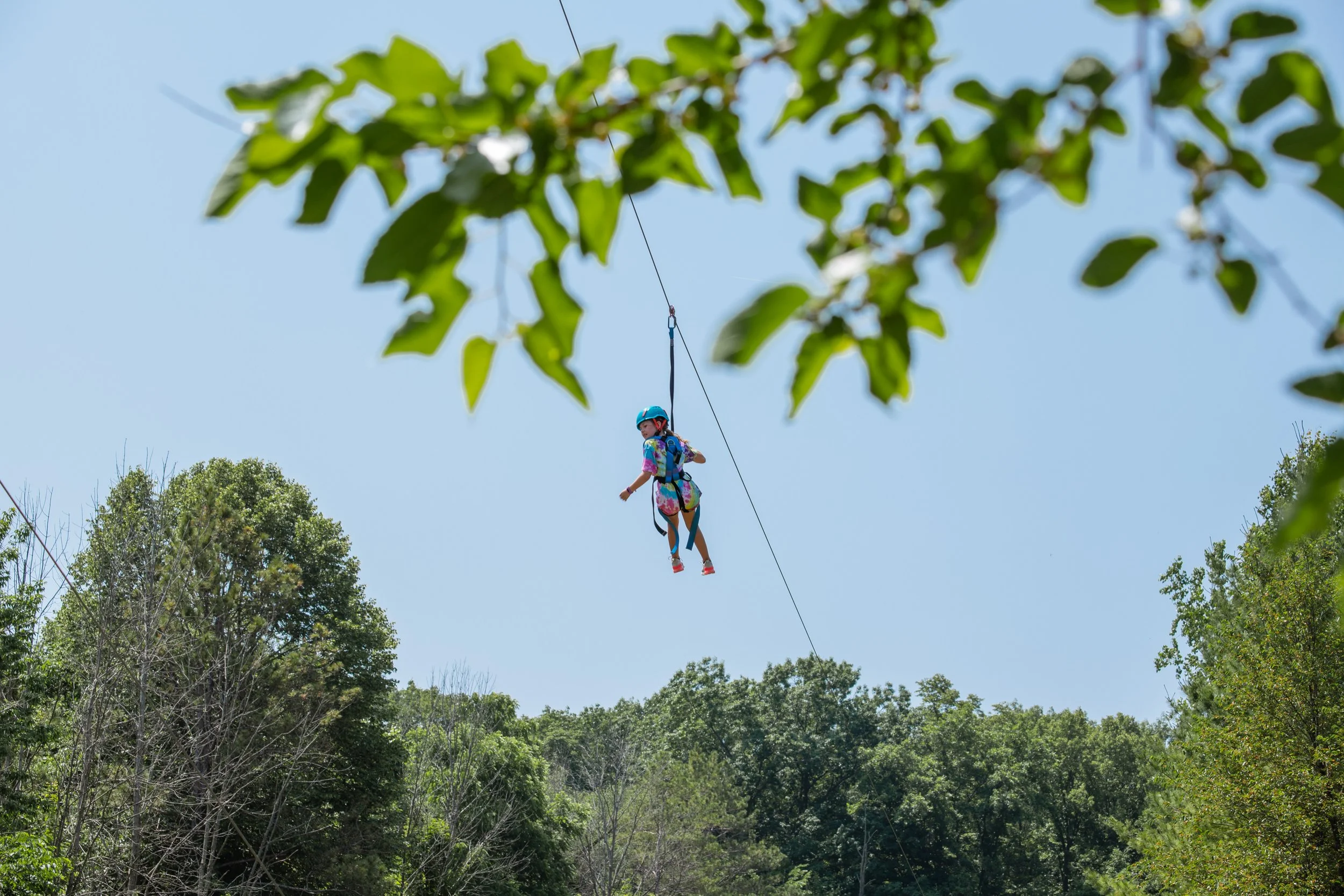 Elementary 1-218.jpg