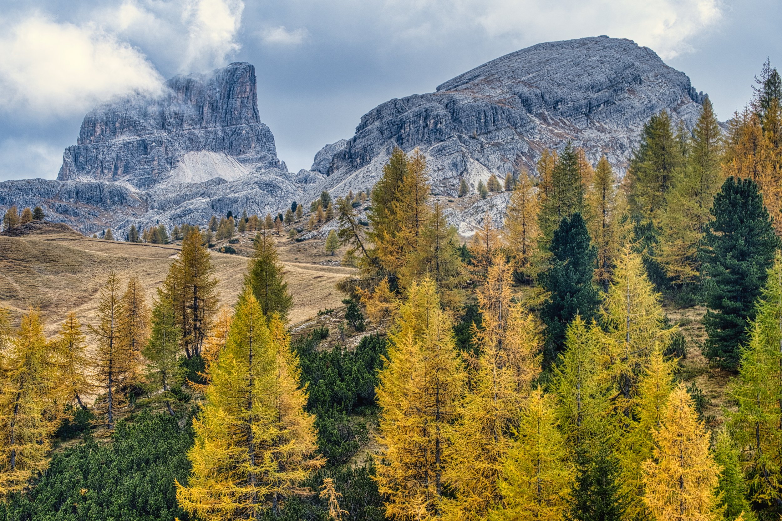 Italy, Dolomite Alps, larch trees at Passo Giao, October 2025