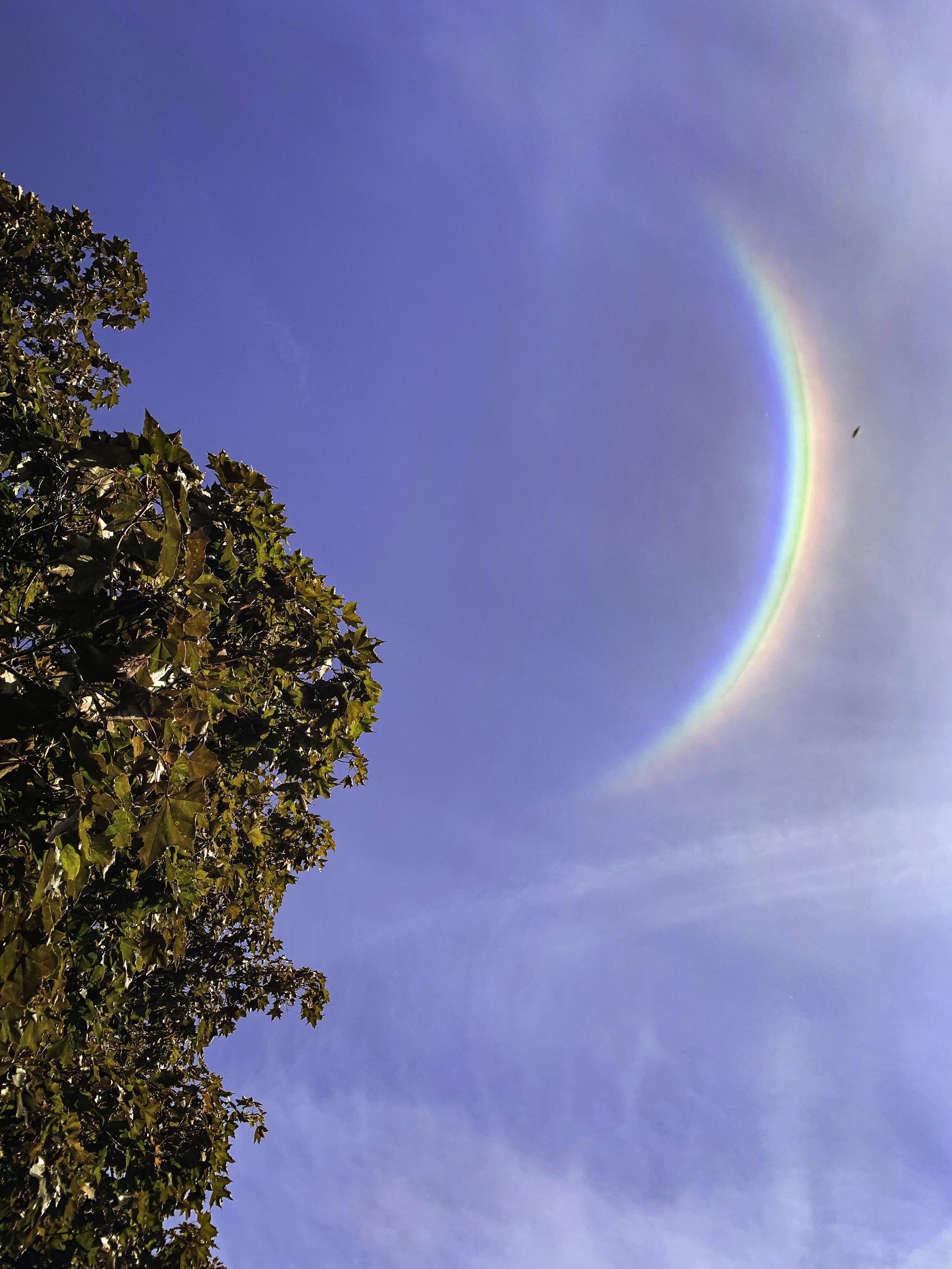 Crescent_Rainbow_2019.jpg