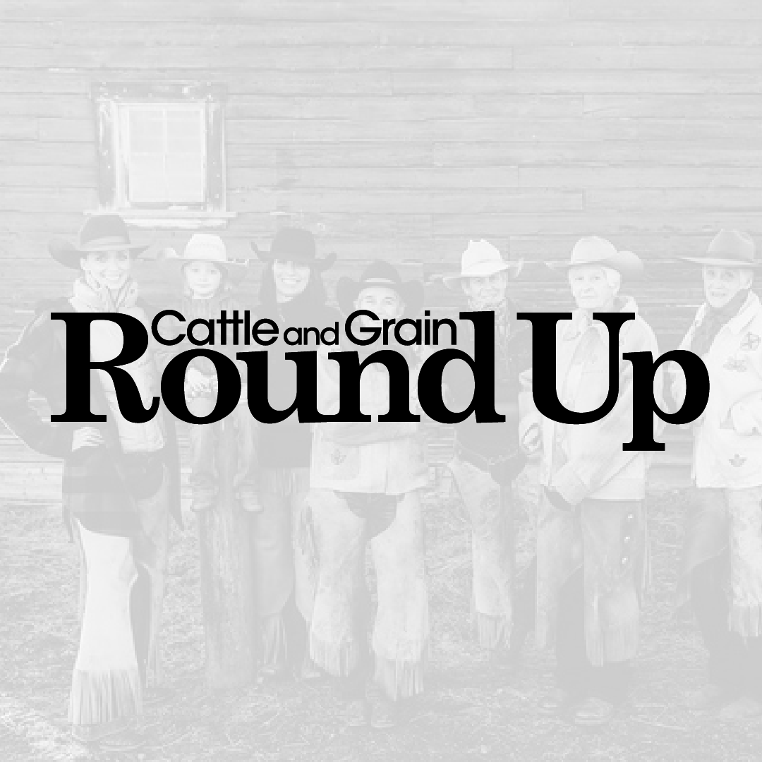 Cattle and Grain Round Up