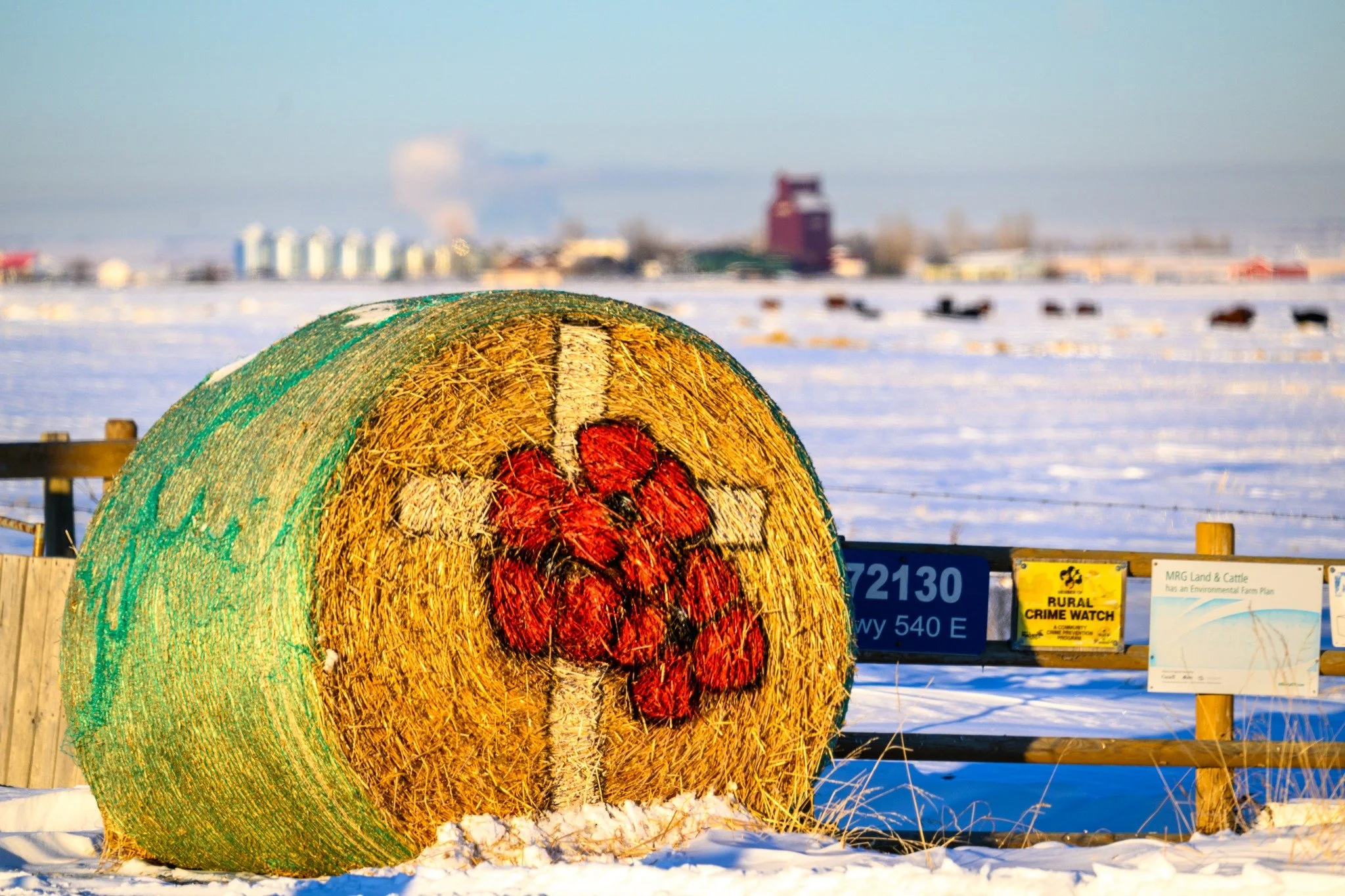 Today, we pause to remember and honour the brave men and women who served and sacrificed for our freedom. ❤️

Their courage and commitment continue to inspire us to build a stronger, more compassionate community.

Lest we forget. 🌺

#RemembranceDay 