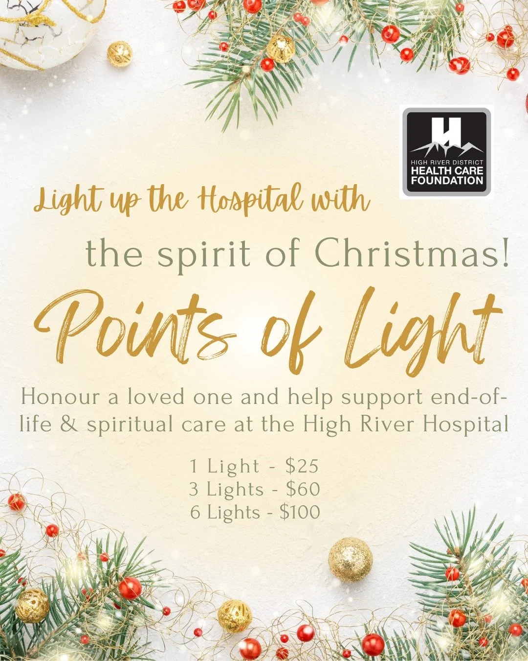 Points of Light is a heartfelt way to honour loved ones while supporting compassionate care in our community. Each light represents a life remembered and a story cherished 💛

Lights can be purchased for $25 for one, $60 for three, or $100 for six, w