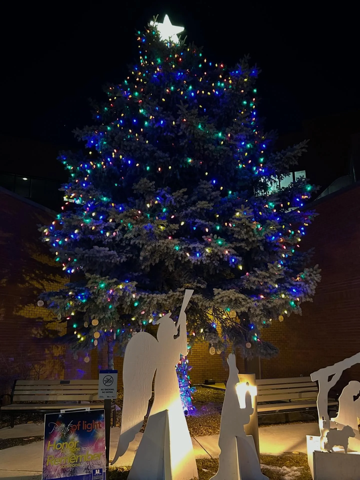 The holidays have arrived at the hospital 🎄✨

🎁 1,563 lbs of food donated to the Salvation Army Food Bank
🧶 Ugly Christmas sweaters on full display
🌟 Trees lit for the Points of Light Campaign
🍪 Locally made cookies for the incredible staff on T