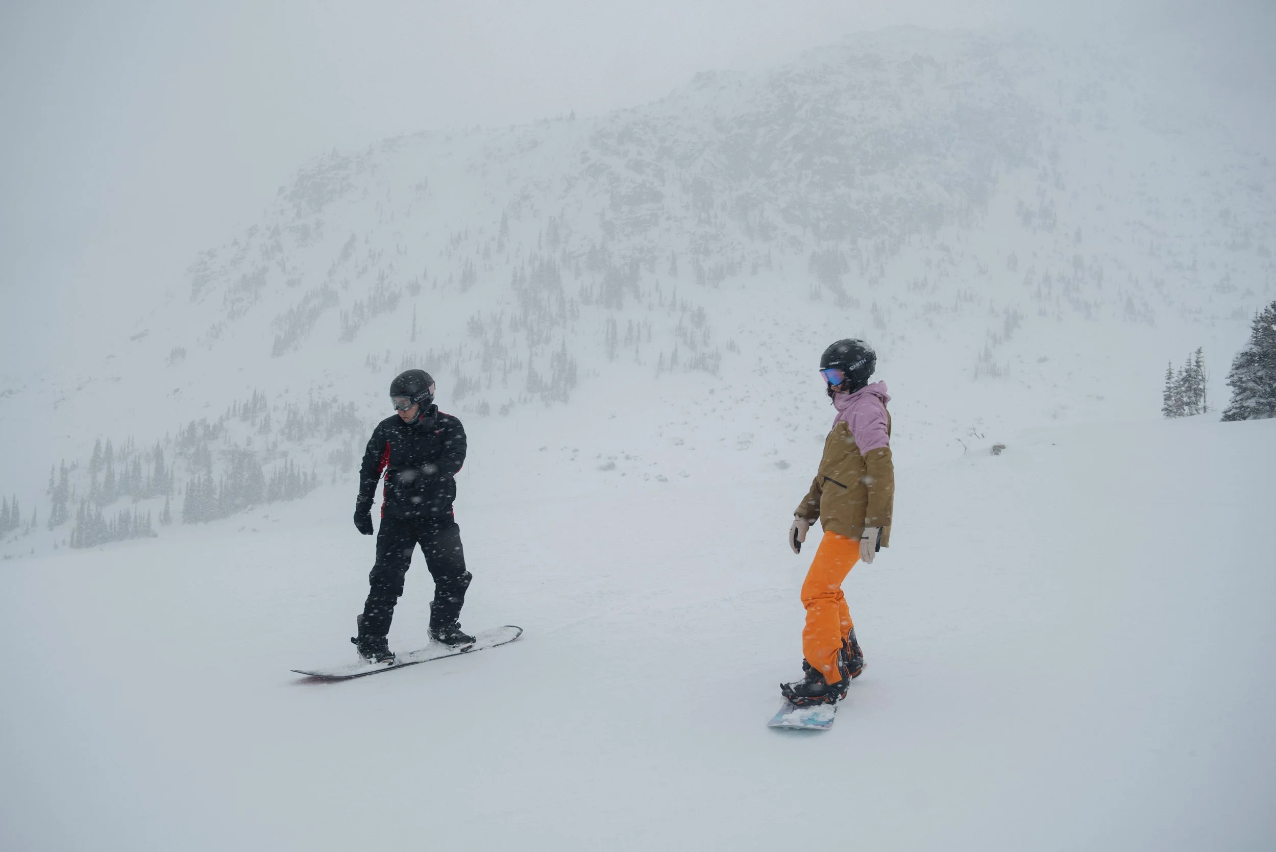 Blackcomb Gondola Proposal1.jpg