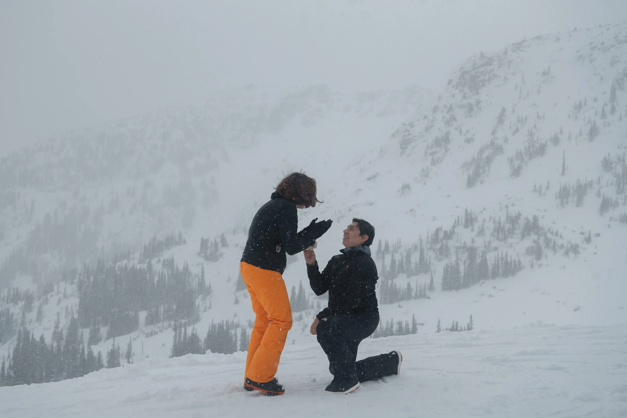 Blackcomb Gondola Proposal2.jpg