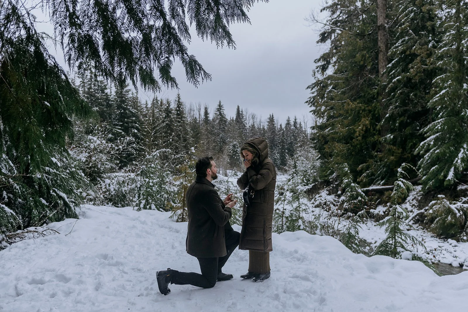 Rebagliati Park Proposal Winter.jpg