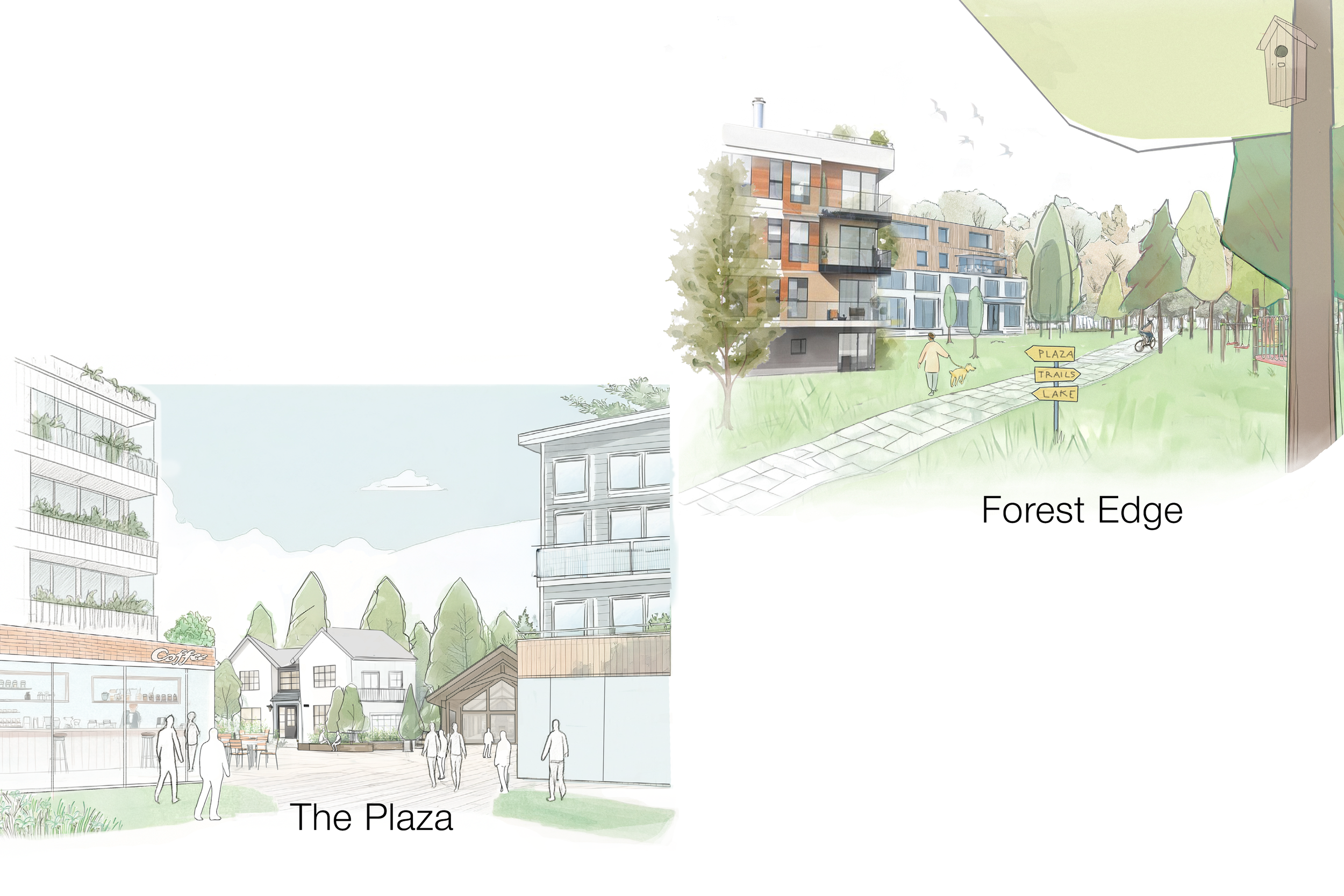 Three maps of a community layout with labels for Gathering, Site Access & Mobility, and Housing Typologies. The Gathering map shows amenities like a plaza, central park, and forest's edge. The Site Access & Mobility map shows trail routes and gateways. The Housing Typologies map displays different residential styles inspired by Cultus Lake architecture.