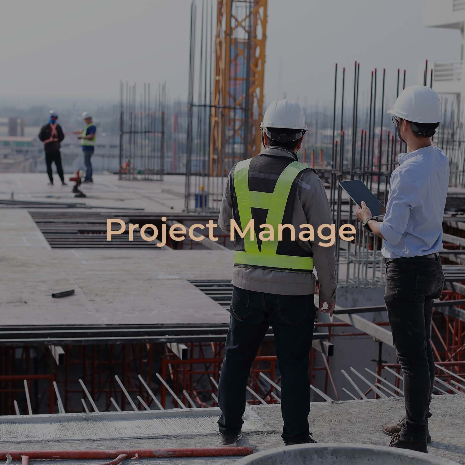 Tarlo-Project Manage.jpg