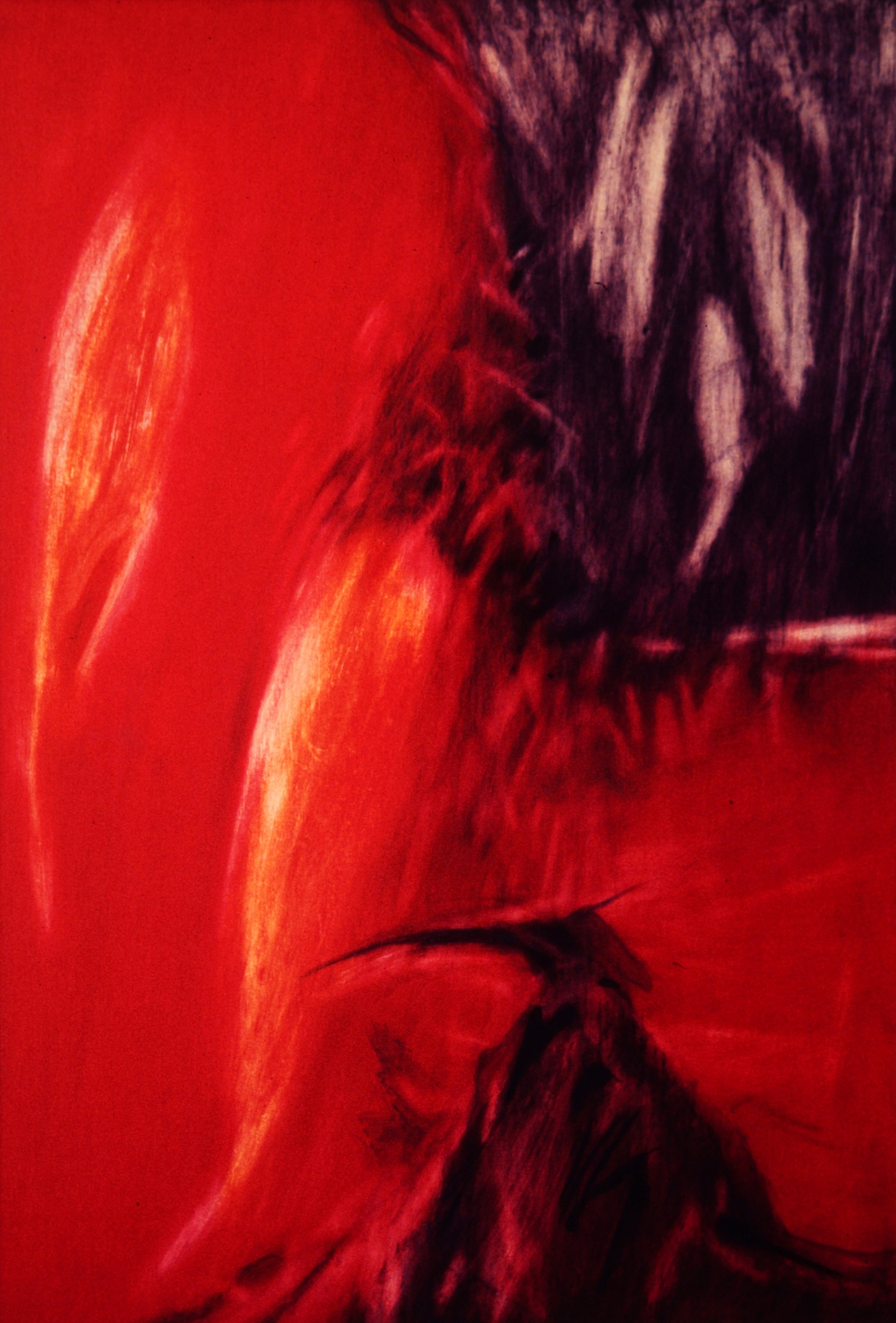 Miracle (1997)
Mixed technique on paper, on canvas, on wood
77 x 105,6 cm