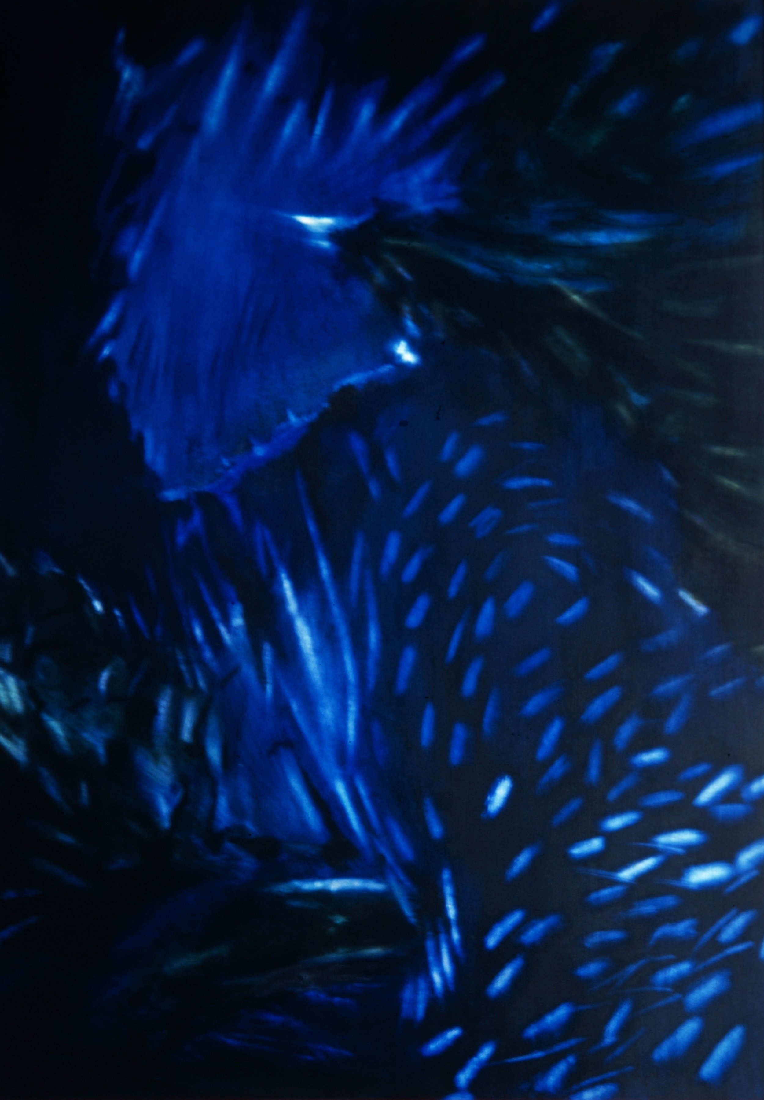 Cave (1997)
Mixed technique on paper, on canvas, on wood
77 x 105,6 cm