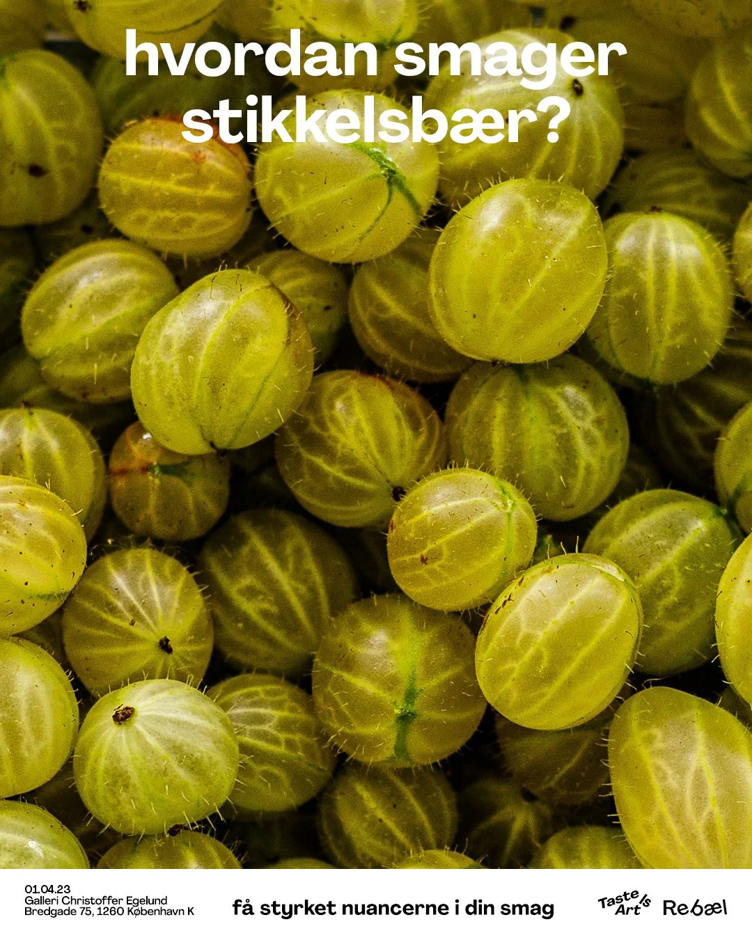 REBÆL_REDONE POSTERS18.jpg