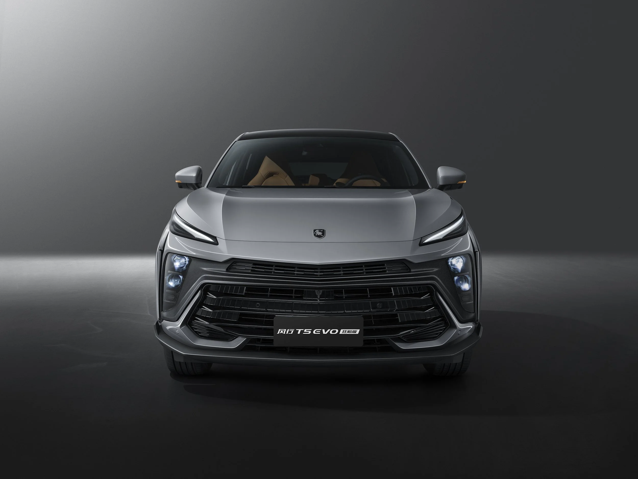 ╖τ╨╨T5EVO┐±∞¡░µ ╒²│╡═╖.jpg