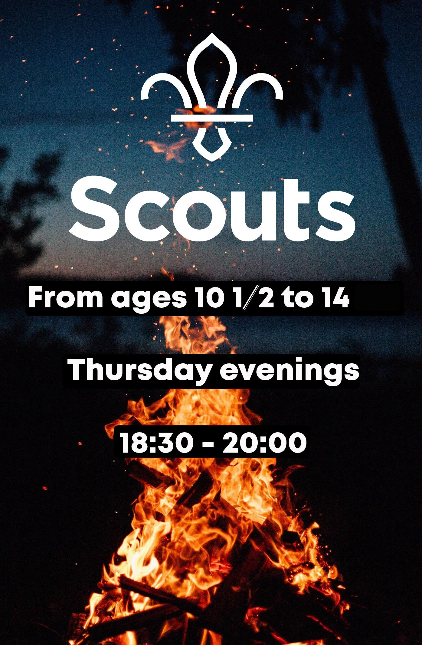 Manor Court Scout Group