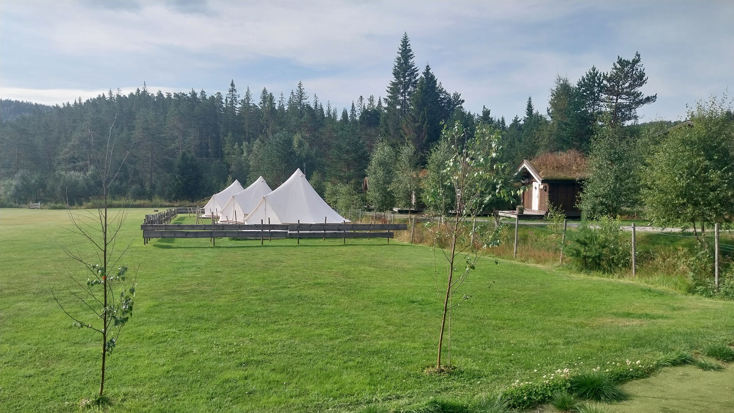20260809_095816.jpg