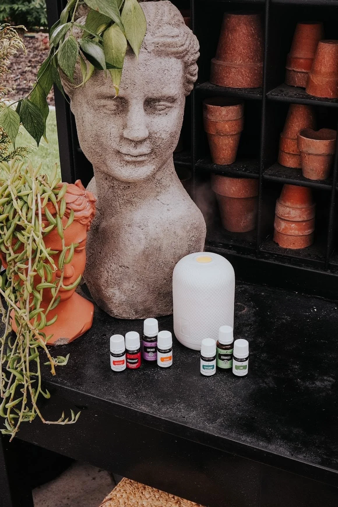 Spring Diffuser Blends to Refresh Your Home — Sarah Martino