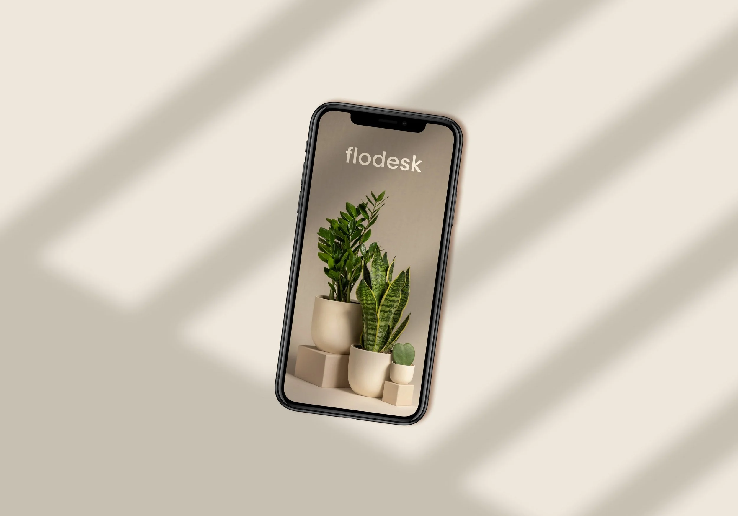Flodesk vs Mailchimp — Which Email Marketing Platform is Right for You?