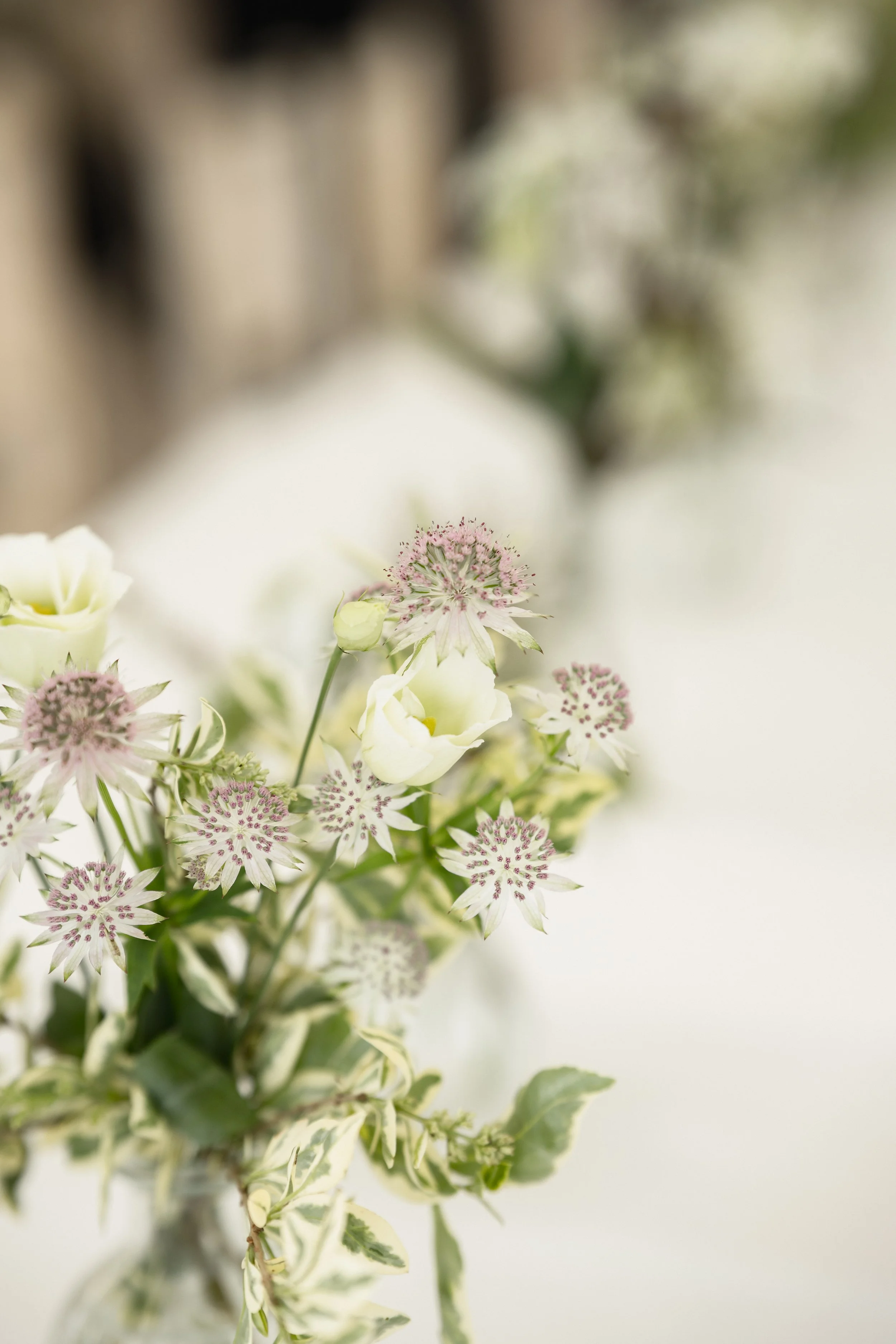 Close-up of a bouquet of white and pale pink flowers with variegated green and white leaves in a glass vase, soft background.