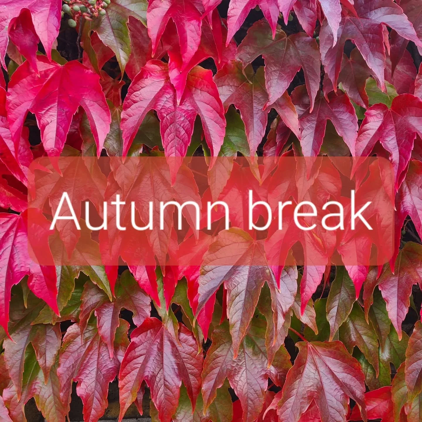 See you all after the Autumn break 🍂

⭐️ We'll be back with our weekly classes:

Monday 20 October - 9.30am on the Church Ship (Sydhavn) ⛵️

Tuesday 21 October - 10am in Glostrup Parish Hall (Glostrup) 🪇

⭐️ And the next date for Music &amp; Family