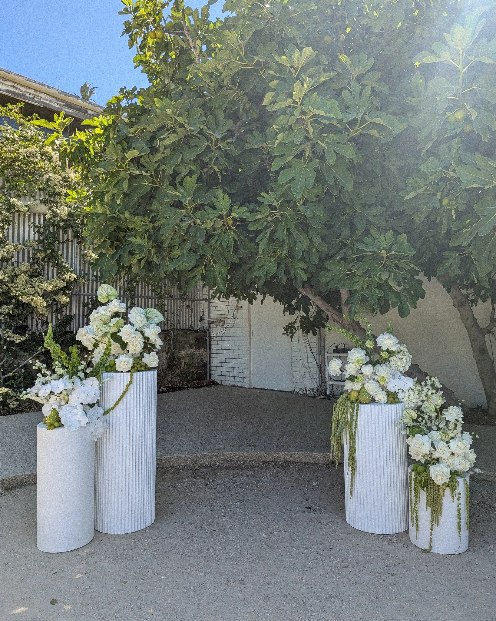 Thinking about this sweet day for J & B 🤍
We loved creating with the mix of playful and classic themes throughout the day - always grateful for the trust our couples have in us to bring something special for their day!
#perth #perthwedding #pe