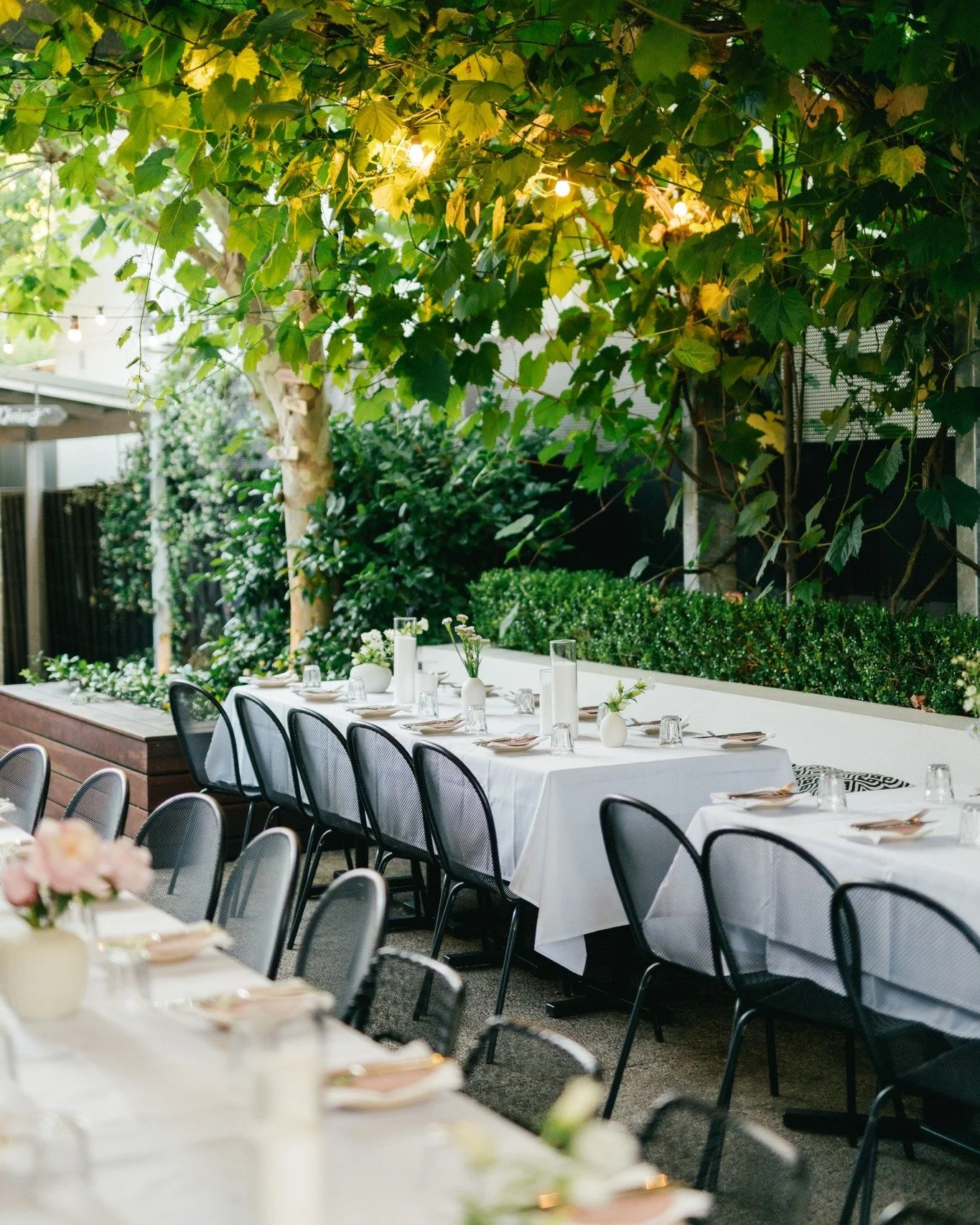 Just thinking about this dreamy, lush day again today. Something about being surrounded by the greenery in a private, intimate setting with just those who are nearest and dearest to you to celebrate a milestone moment.

📷 @kennethlimweddings 

@litt