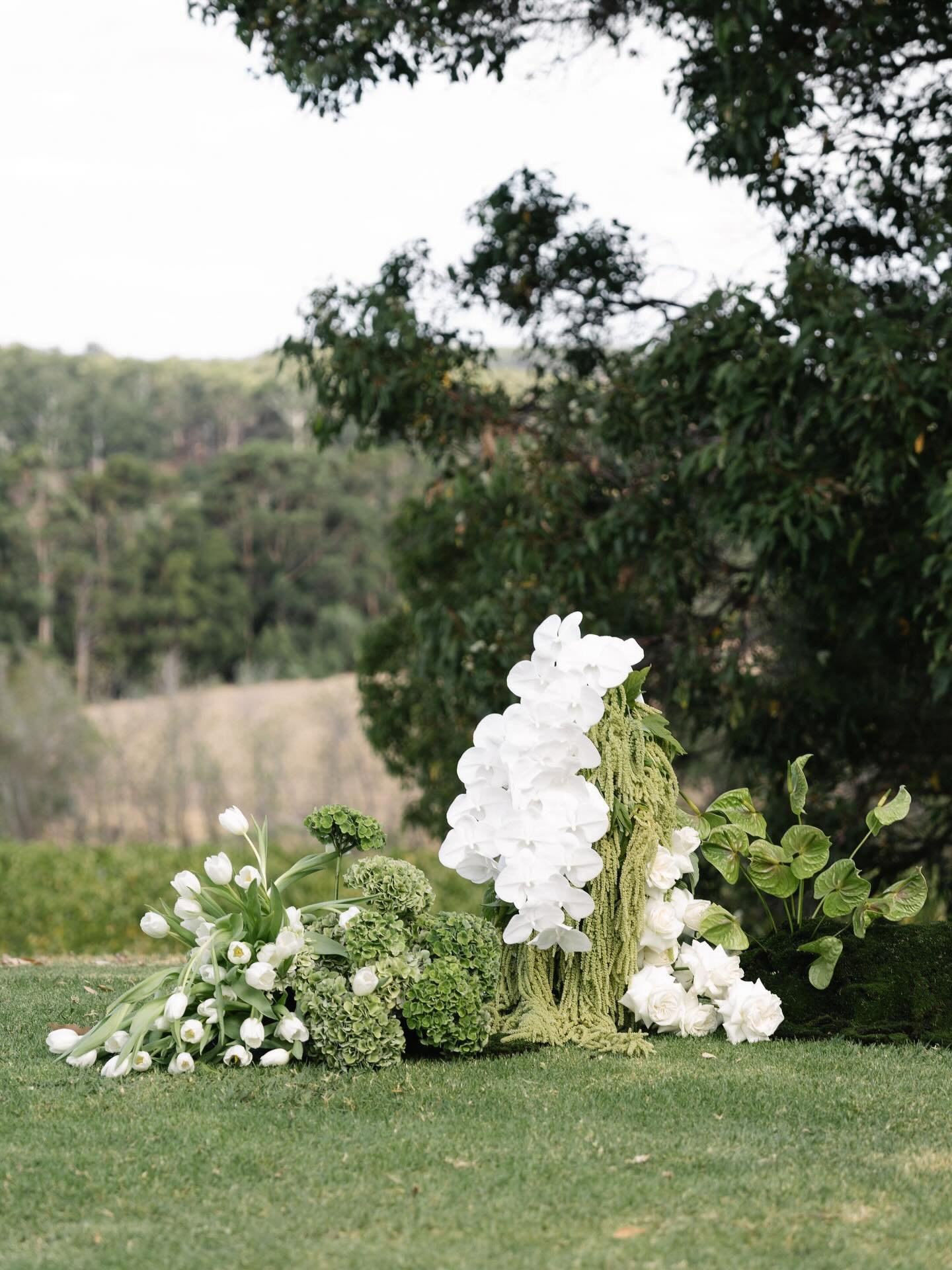 Hello 2026! 

Looking forward to the second half of our season 💕

Here&rsquo;s a couple photos by @holiiandash of M&amp;N&rsquo;s Arbour completed with a moss bow @credaroweddings