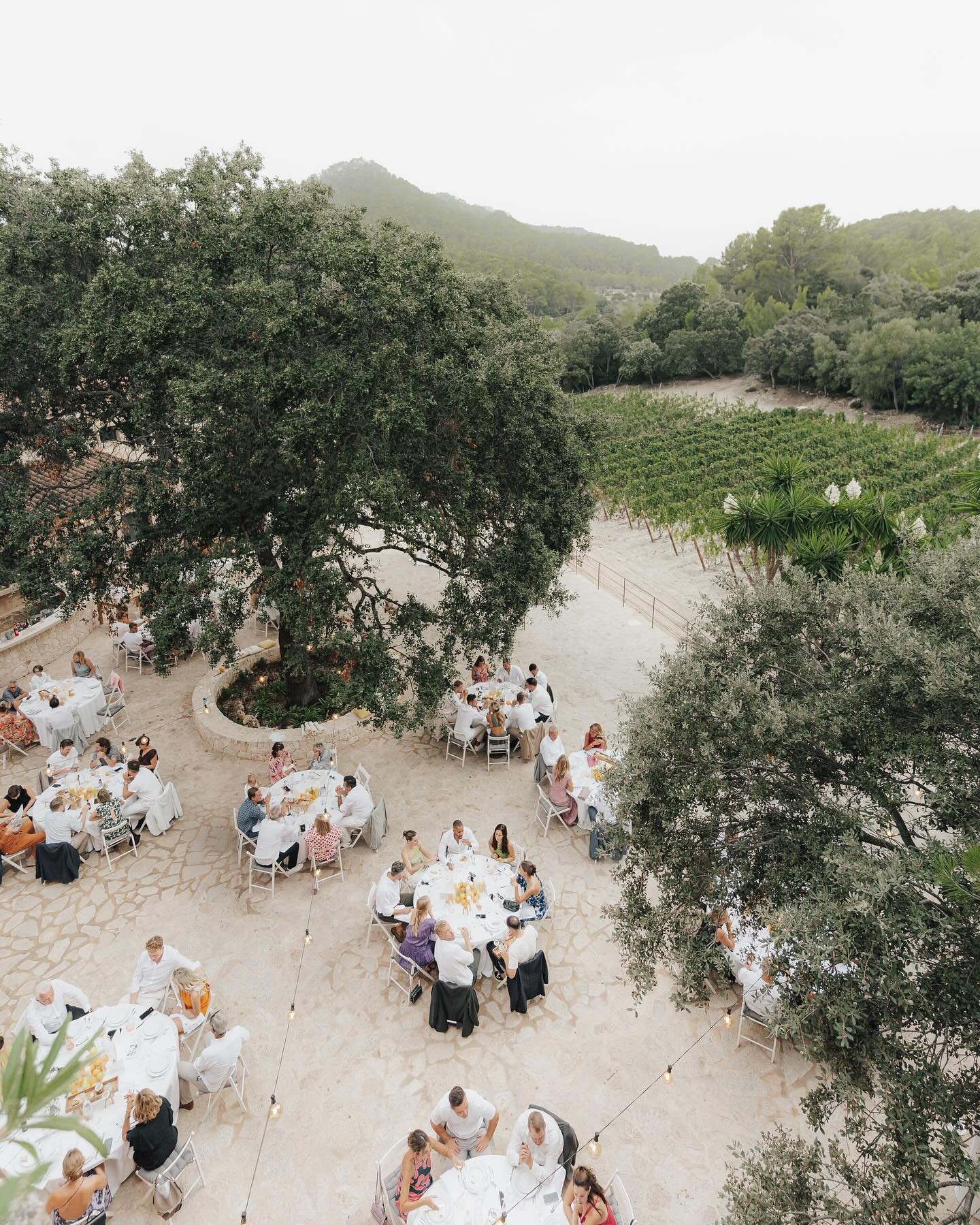 A &amp; L at their dream wedding in a Majorcan vineyard, planned by @life_time_events 

#weddingphotography #mallorcawedding #vineyardwedding #heirateninitalien #heirateninspanien #heirateninm&uuml;nchen #vougewedding #thelane #europeanwedding #europ