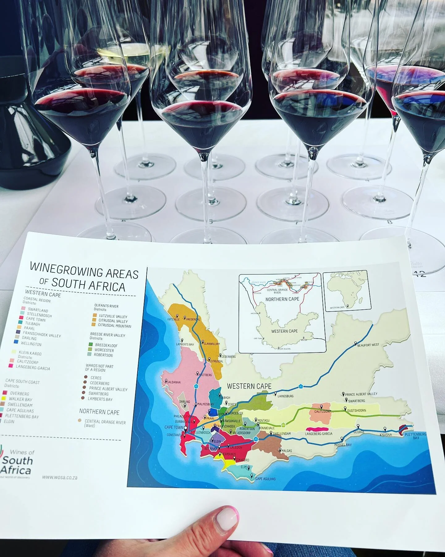 South African Wine | I discovered some real gems and learnt a lot about South African Wine with the expert guidance of Madeleine Stenwreth MW, and Richard Bampfield MW | I was delighted to also meet Richard Kershaw MW and to be able to try his wine a