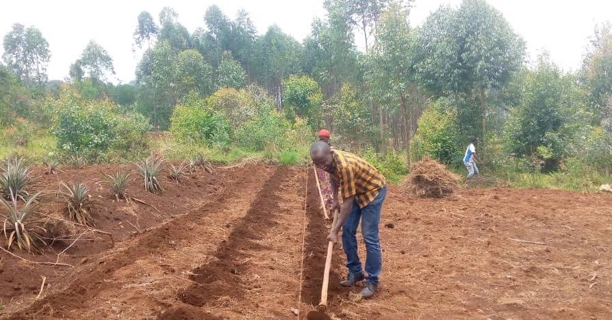 Preparing the land in Burundi for the grain to go in and grow into a good crop - similar to our hearts what we plant will grow &hellip;