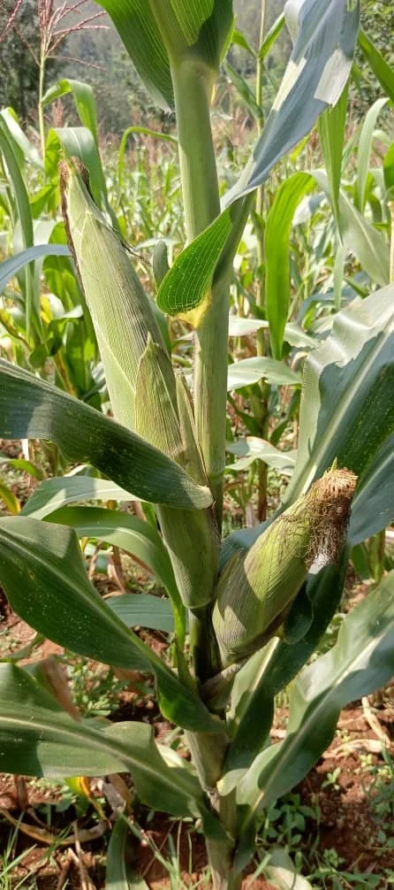 Making a difference together