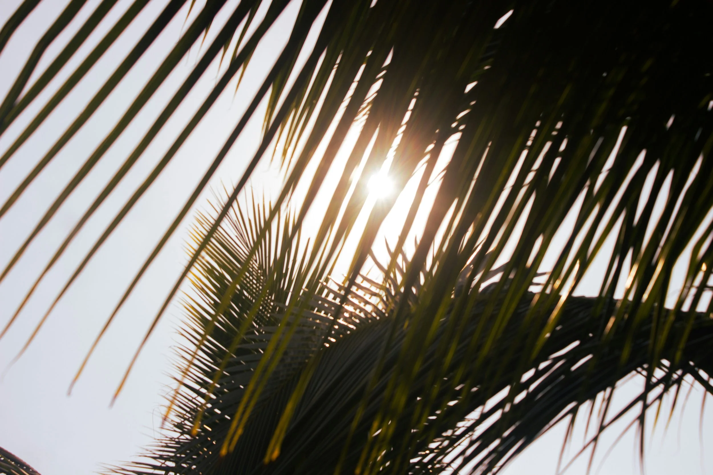 Bright ideas for brighter bills