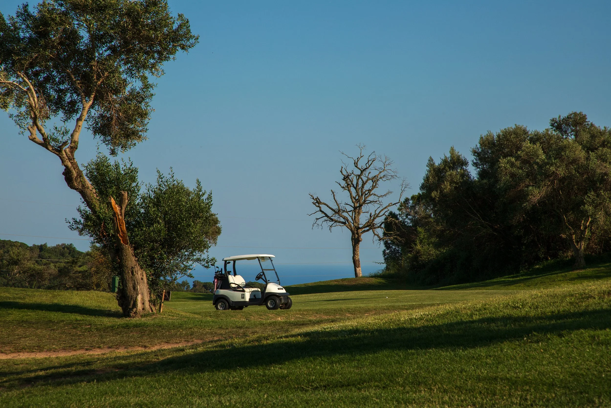 ClubGolfdAro-MasNou2.jpg
