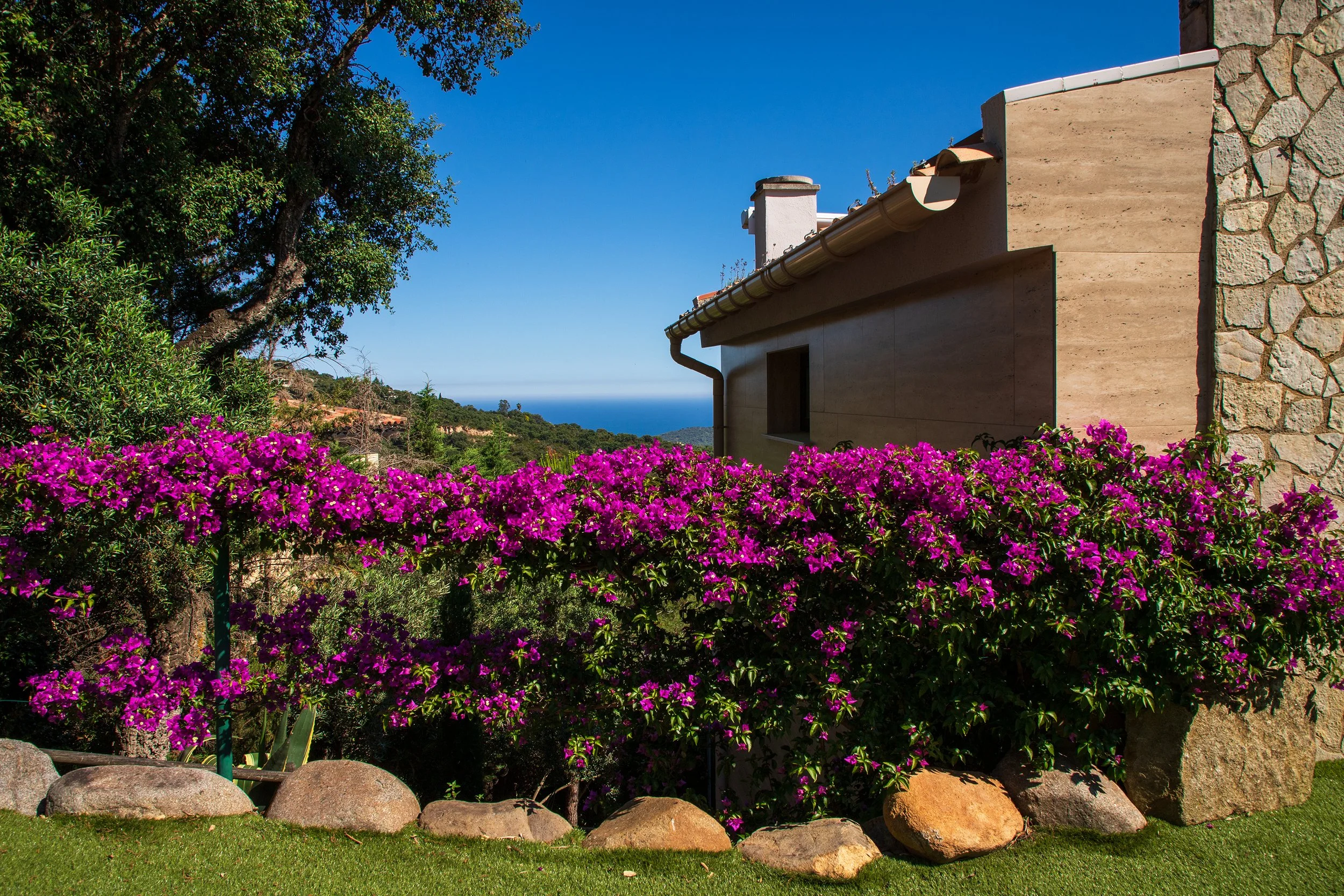 HouseViews07.jpg