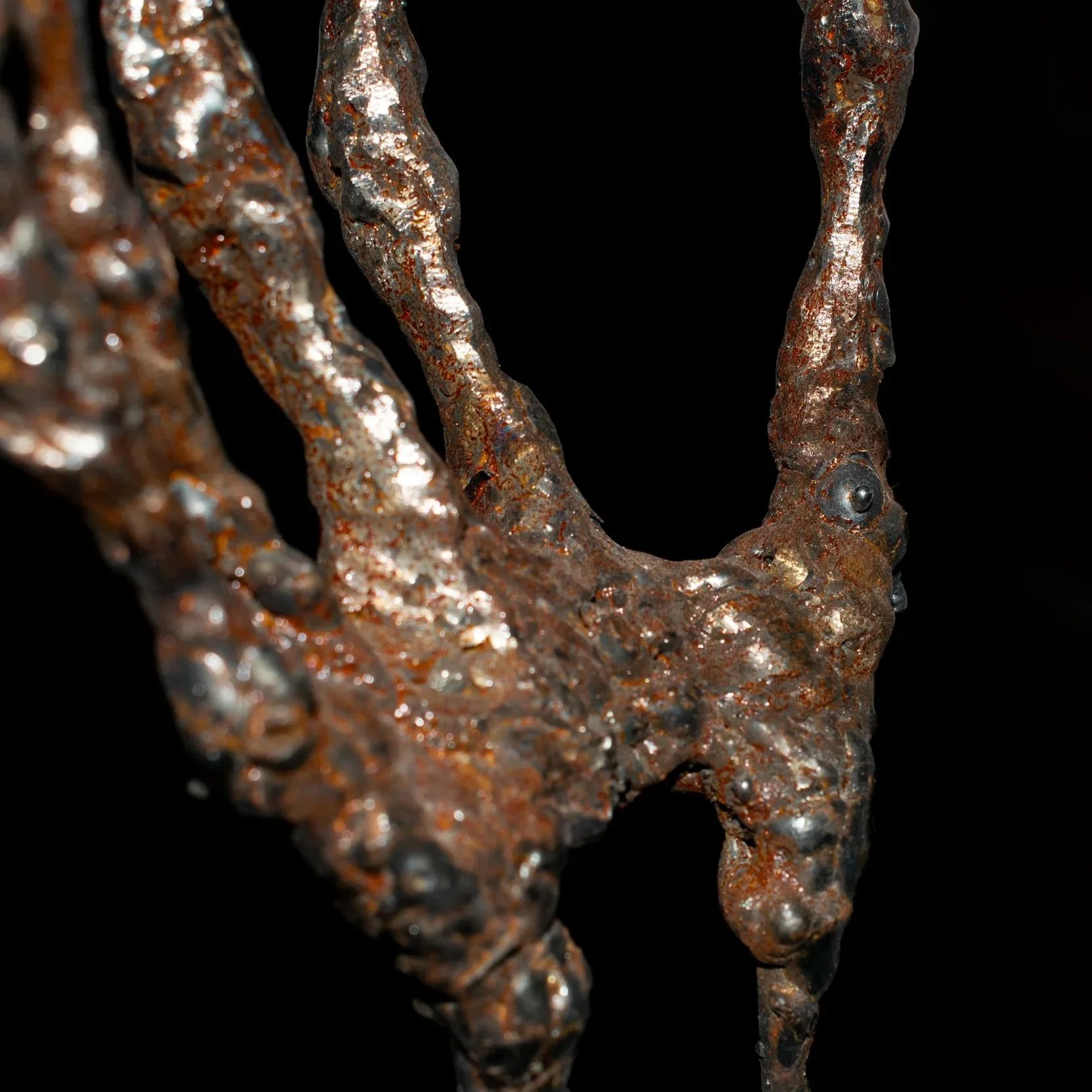 DSC_0761.jpg