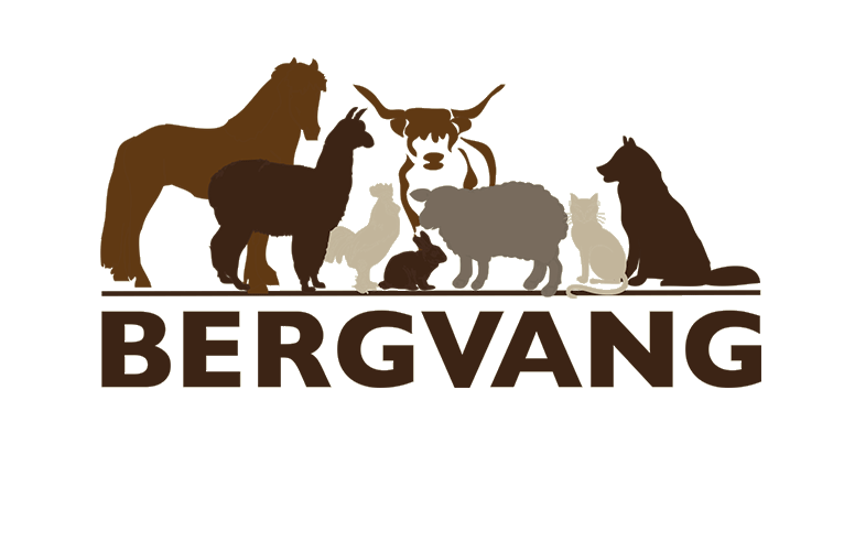 Bergvang