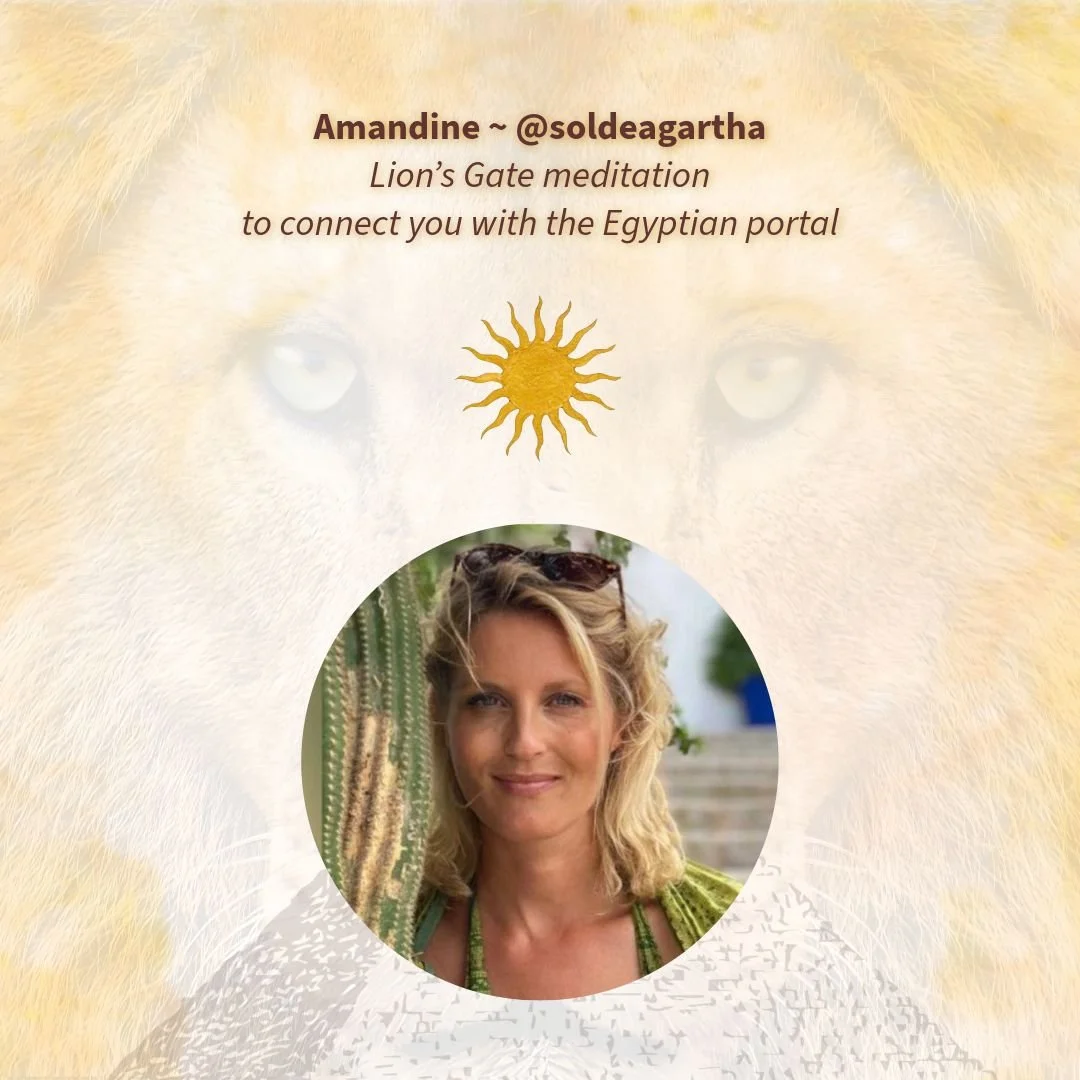 Amandine Lions.jpeg