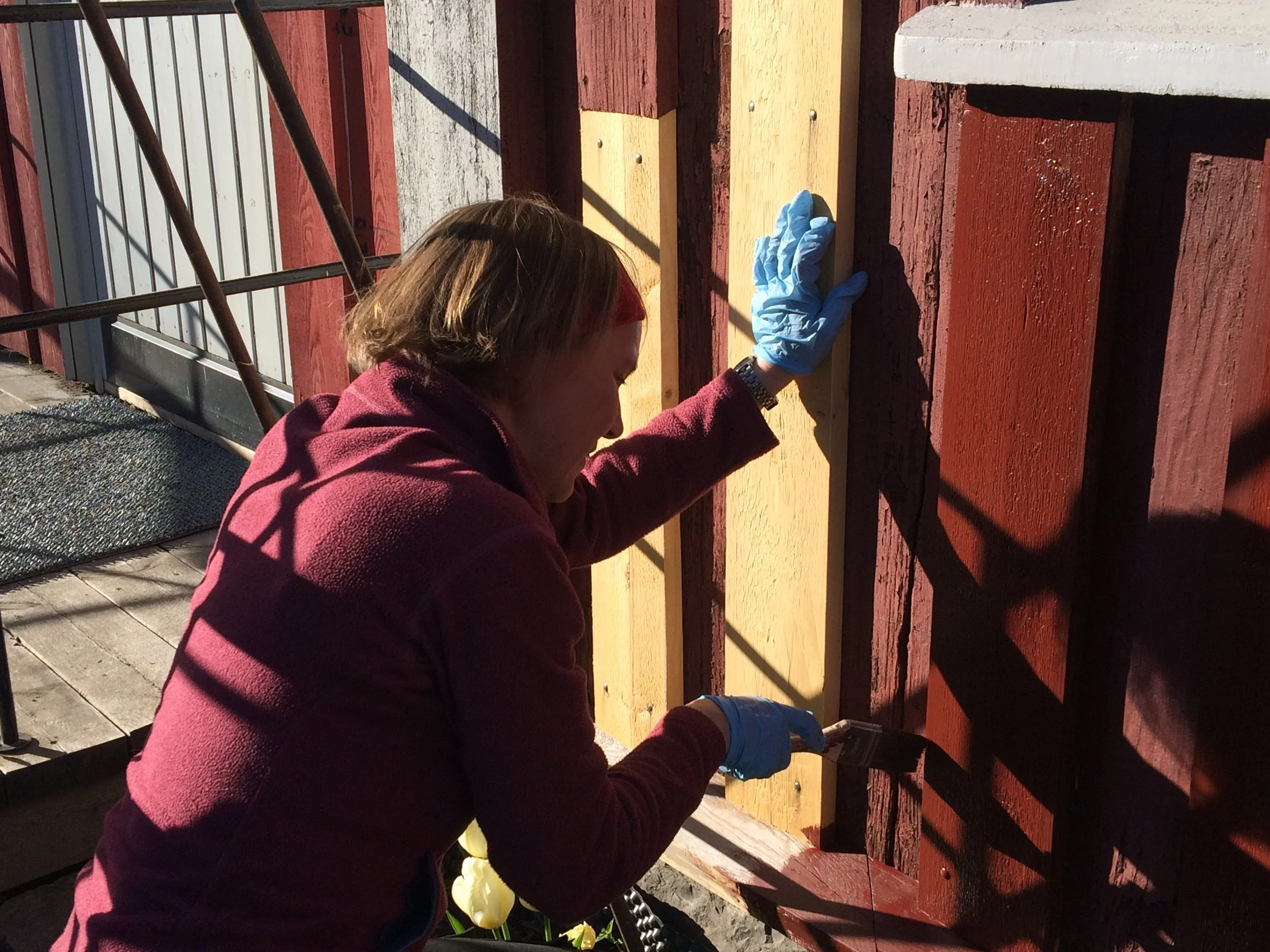 Sydveggen på drengestua males 1.JPG