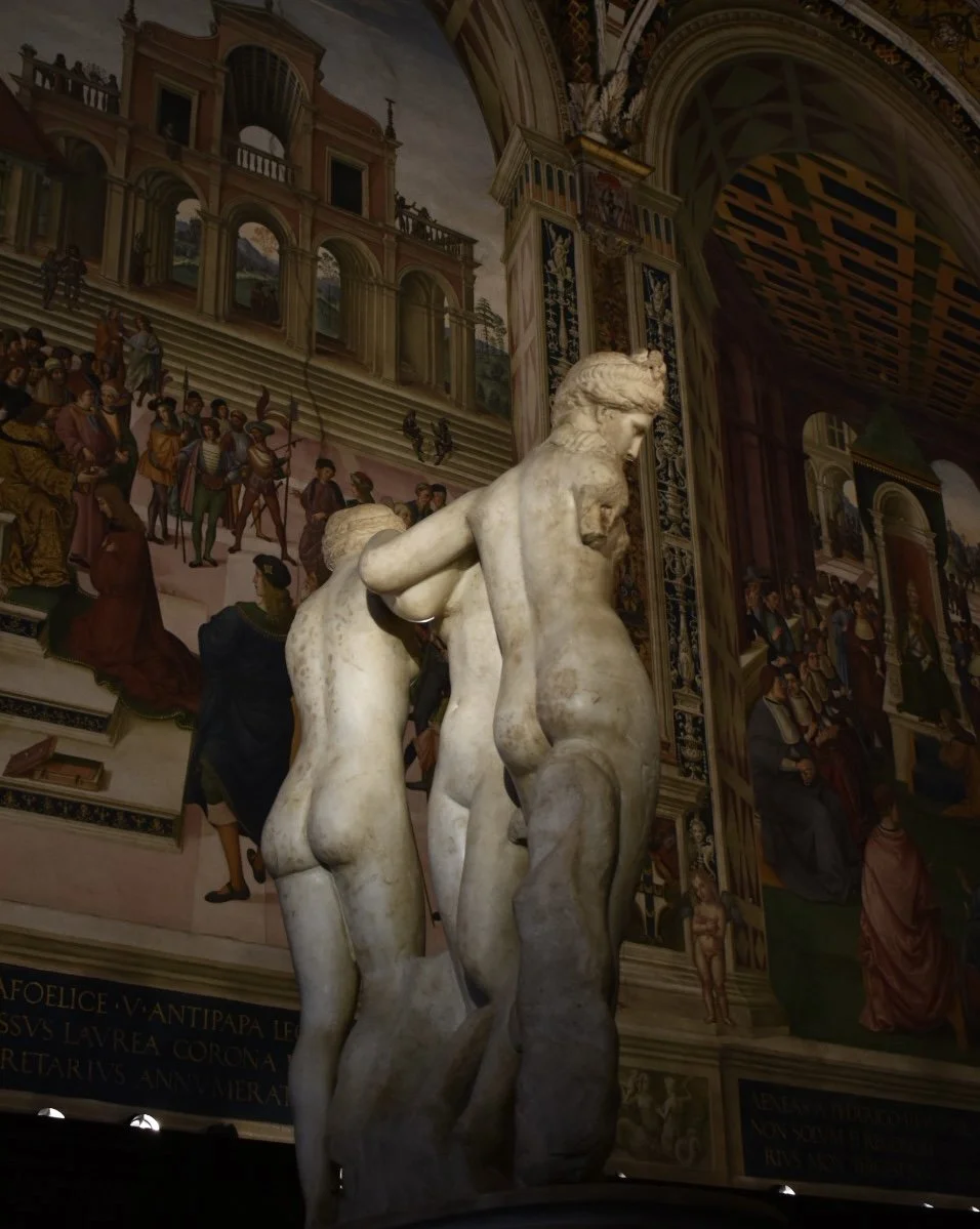 DSC_0265.jpg
