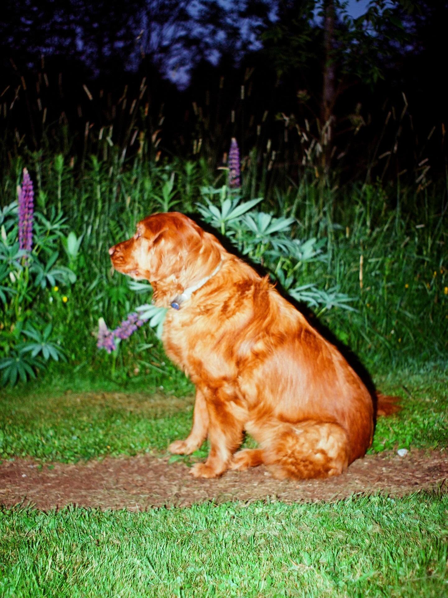 my besties
on Ektar 100