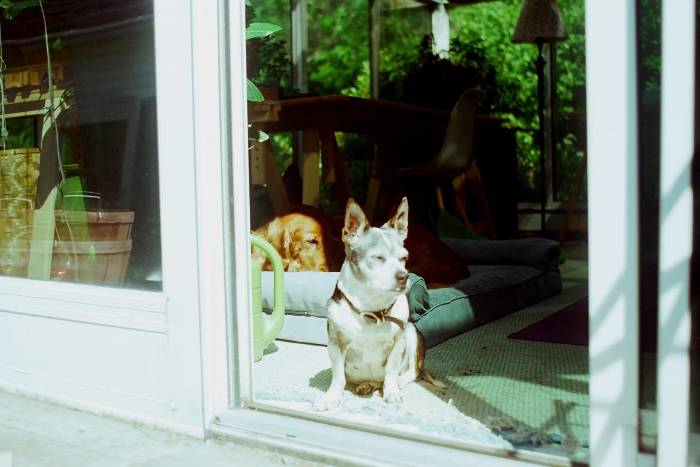 hangin' around
on Ektar 100