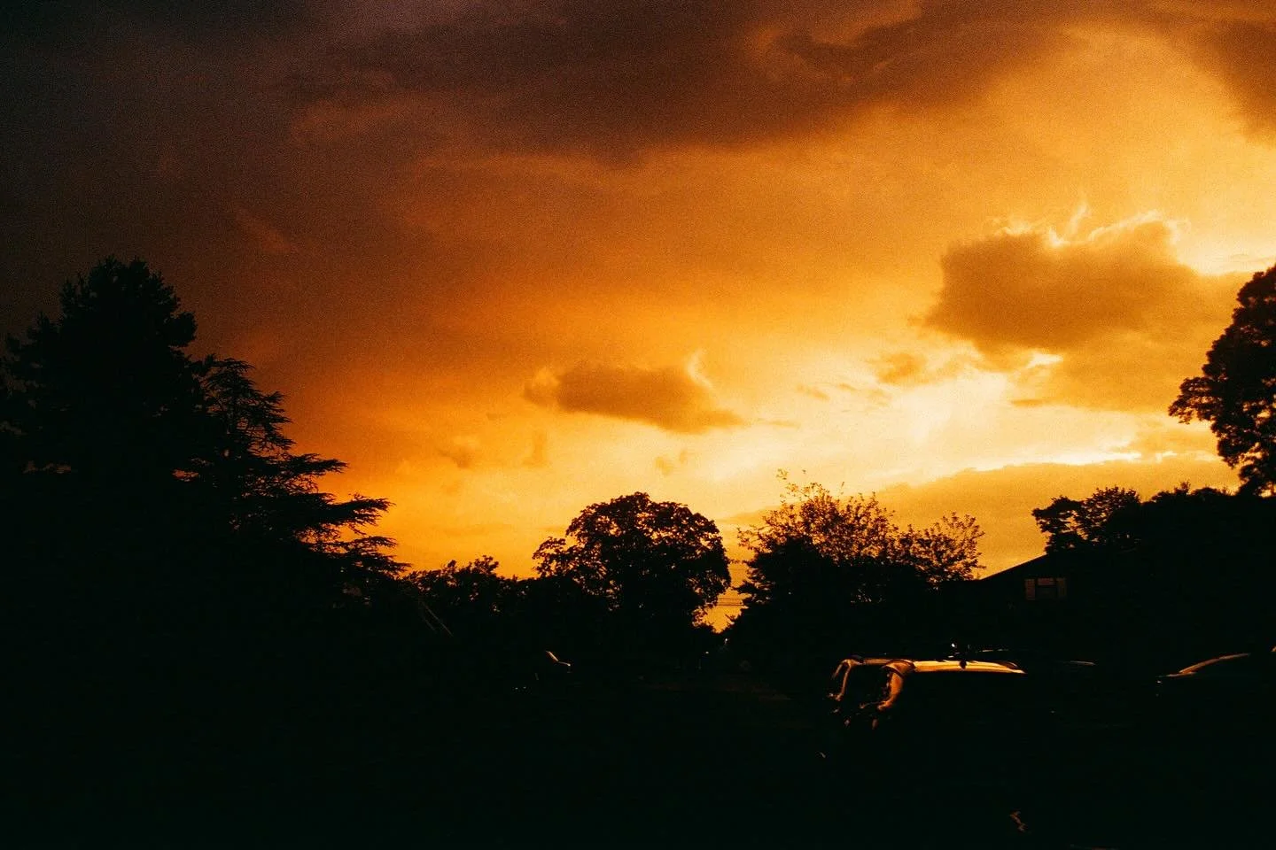 my captions are lacking so here's that sunset again
on Ektar 100 + Colorplus 200