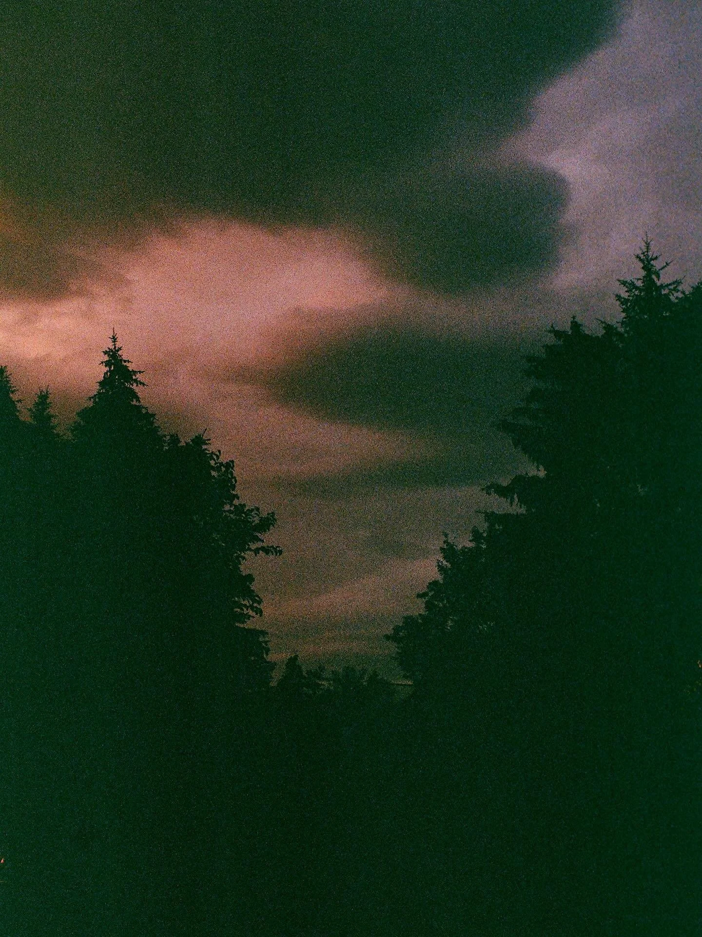 okay, now I'm done
on Colorplus 200