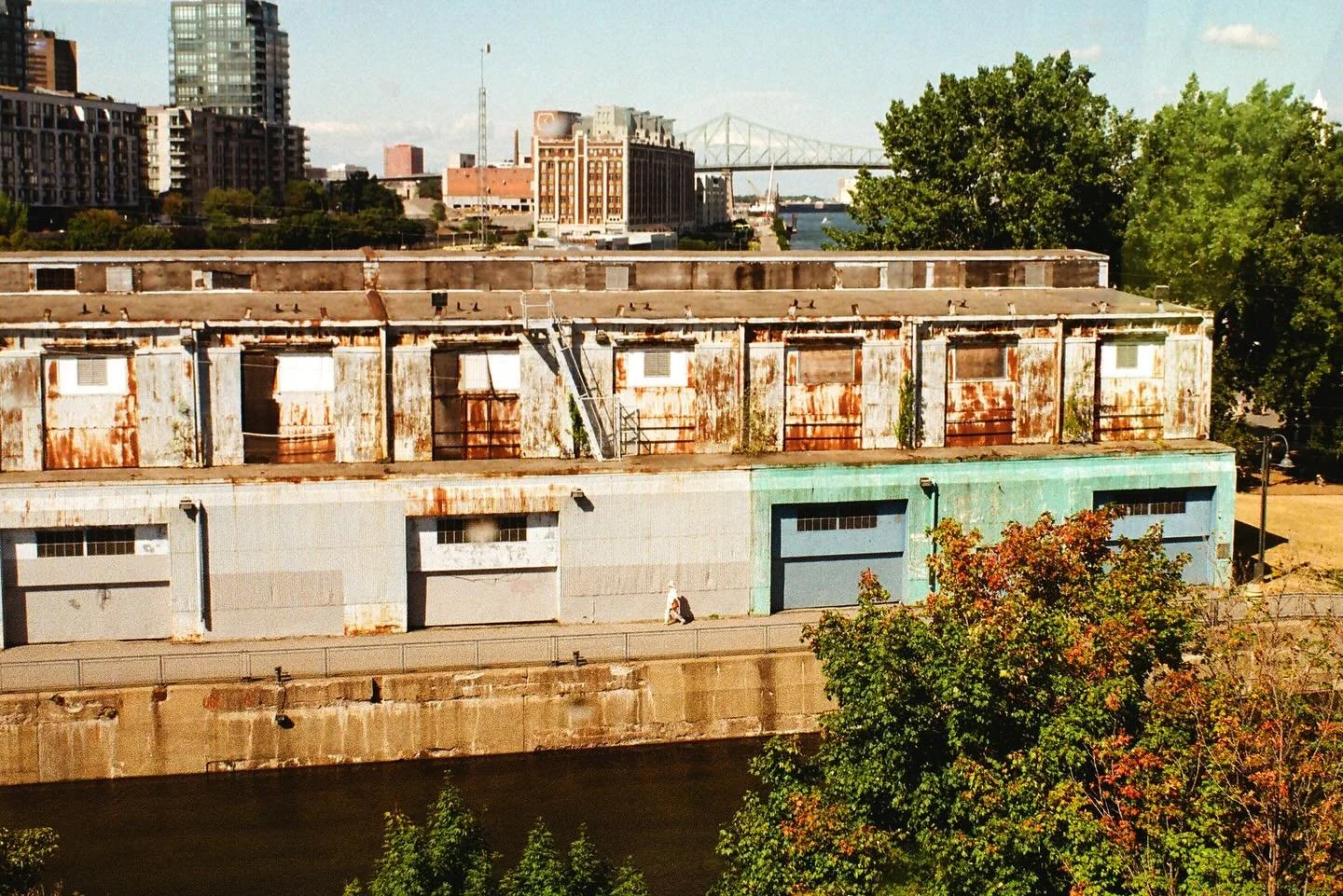 view from la grande roue
ft. Ally's sneakers