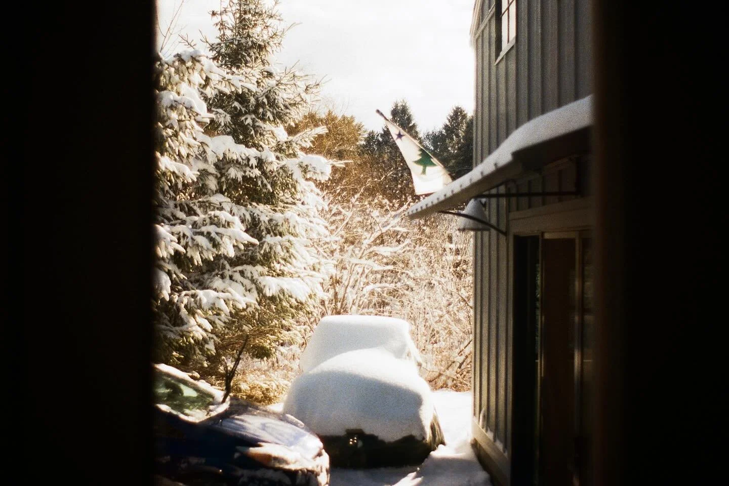 from one of my little winter walks