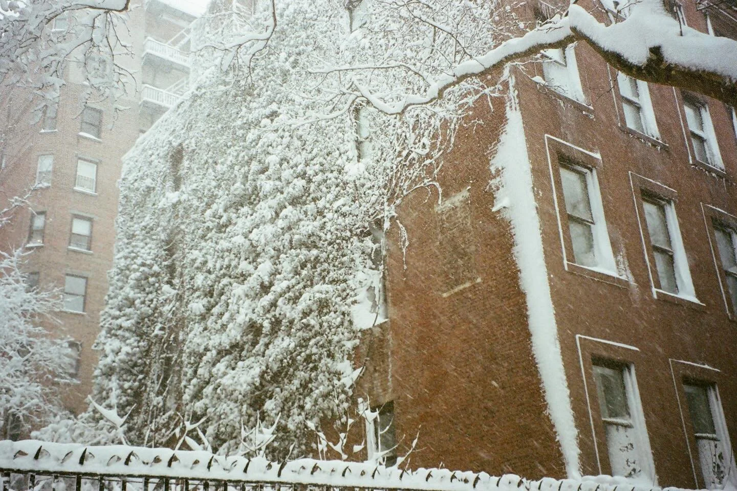 some long lost shots of the blizzard