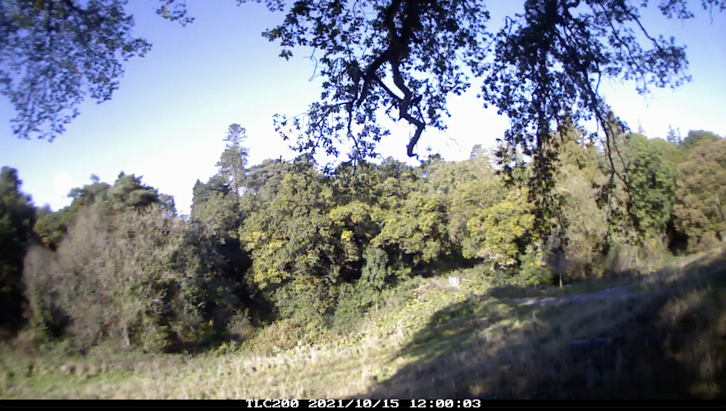 Site Twelve