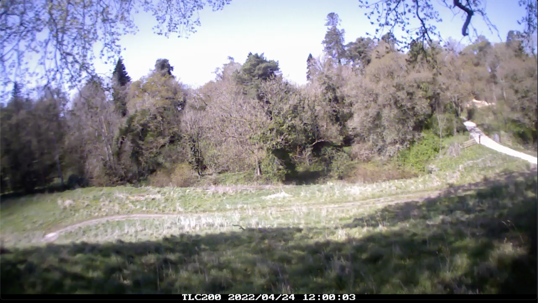 Site Twelve