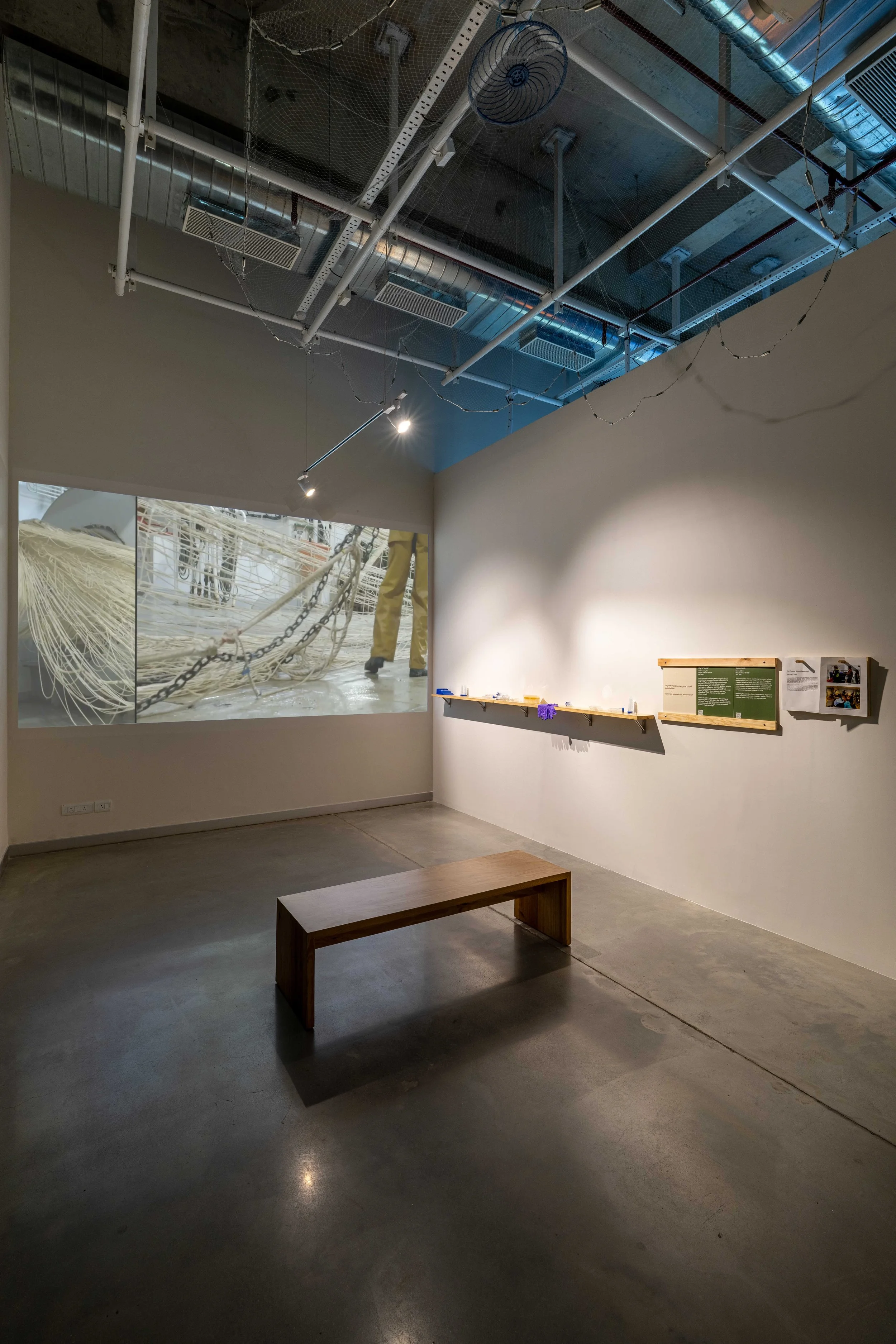 CALORIE, Science Gallery Bengaluru, 2025/2026, image courtesy of Science Gallery