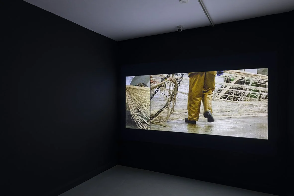 Midnight Zone, Highlanes Municipal Gallery, installation view courtesy of Eugene Langan.